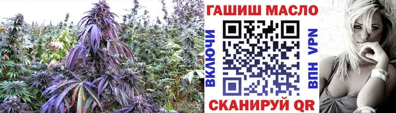 купить наркотик  MEGA ссылка  ТГК концентрат  Орлов 
